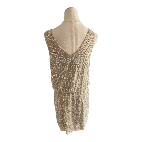 CACHE Studded Sparkle Caviar Beaded Blouson Mini Dress Size 8 Party Nude Silver - Picture 5 of 8